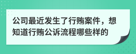 公司最近发生了行贿案件，想知道行贿公诉流程哪些样的