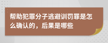 帮助犯罪分子逃避训罚罪是怎么确认的，后果是哪些