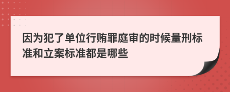 因为犯了单位行贿罪庭审的时候量刑标准和立案标准都是哪些