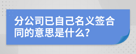 分公司已自己名义签合同的意思是什么？