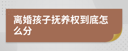 离婚孩子抚养权到底怎么分