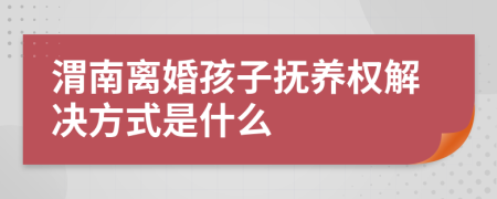 渭南离婚孩子抚养权解决方式是什么