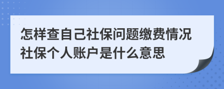 怎样查自己社保问题缴费情况社保个人账户是什么意思