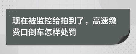 现在被监控给拍到了，高速缴费口倒车怎样处罚