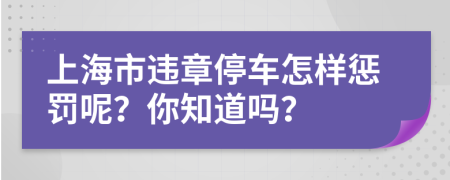 上海市违章停车怎样惩罚呢？你知道吗？