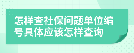 怎样查社保问题单位编号具体应该怎样查询