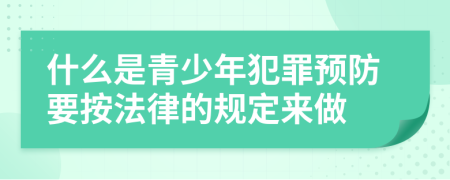 什么是青少年犯罪预防要按法律的规定来做