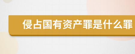 侵占国有资产罪是什么罪