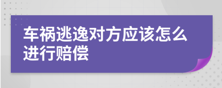 车祸逃逸对方应该怎么进行赔偿