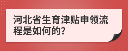河北省生育津贴申领流程是如何的？