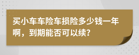 买小车车险车损险多少钱一年啊，到期能否可以续？