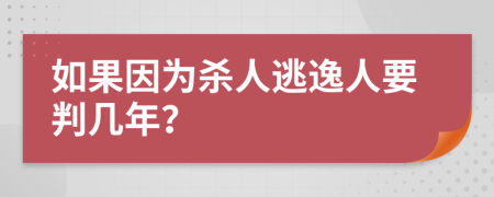 如果因为杀人逃逸人要判几年？