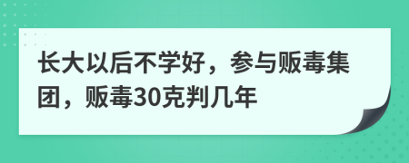 长大以后不学好，参与贩毒集团，贩毒30克判几年