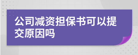 公司减资担保书可以提交原因吗