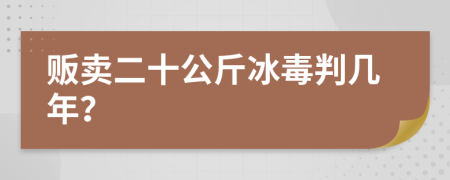 贩卖二十公斤冰毒判几年？