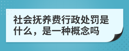 社会抚养费行政处罚是什么，是一种概念吗