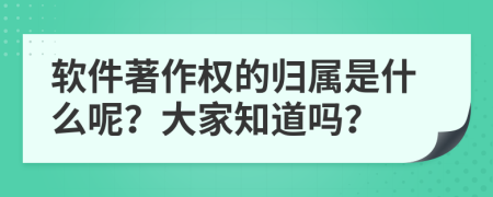 软件著作权的归属是什么呢？大家知道吗？