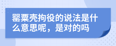 罂粟壳拘役的说法是什么意思呢，是对的吗