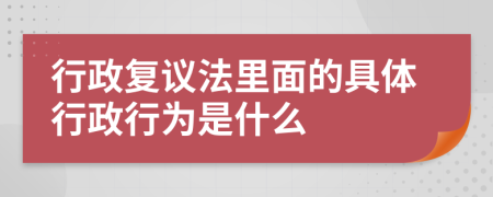 行政复议法里面的具体行政行为是什么