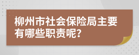 柳州市社会保险局主要有哪些职责呢？