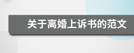 关于离婚上诉书的范文