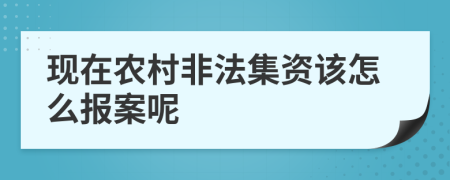 现在农村非法集资该怎么报案呢