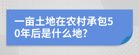 一亩土地在农村承包50年后是什么地?