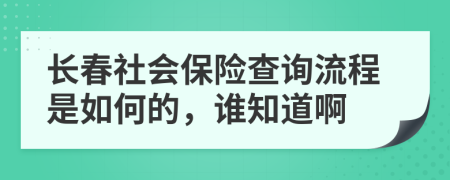 长春社会保险查询流程是如何的，谁知道啊