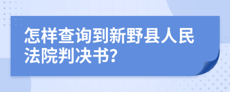 怎样查询到新野县人民法院判决书？