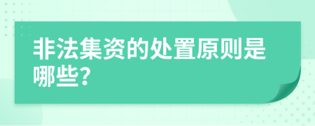 非法集资的处置原则是哪些？