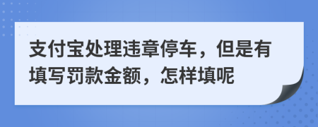 支付宝处理违章停车，但是有填写罚款金额，怎样填呢