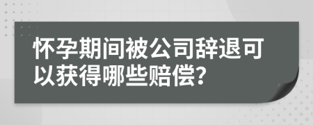 怀孕期间被公司辞退可以获得哪些赔偿？