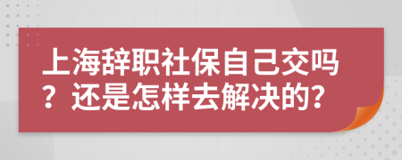 上海辞职社保自己交吗？还是怎样去解决的？