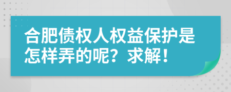 合肥债权人权益保护是怎样弄的呢？求解！