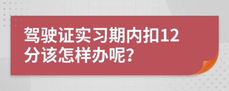 驾驶证实习期内扣12分该怎样办呢？