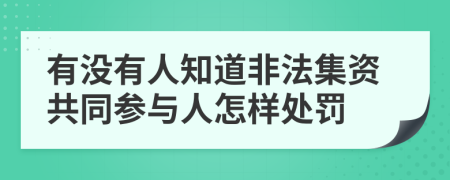 有没有人知道非法集资共同参与人怎样处罚