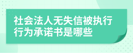 社会法人无失信被执行行为承诺书是哪些