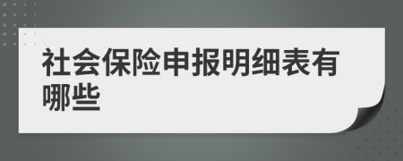 社会保险申报明细表有哪些