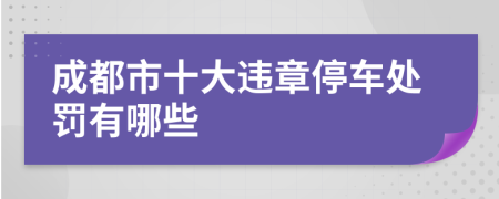 成都市十大违章停车处罚有哪些