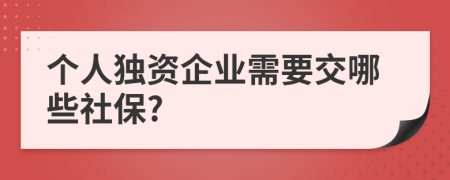 个人独资企业需要交哪些社保?