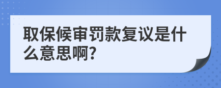 取保候审罚款复议是什么意思啊?