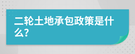 二轮土地承包政策是什么？