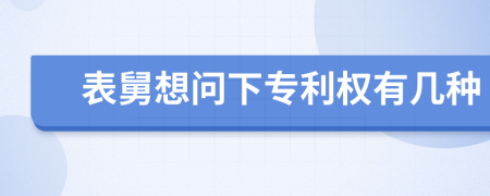 表舅想问下专利权有几种