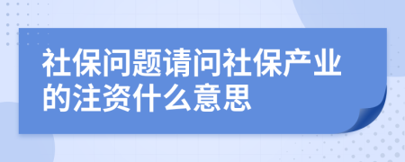 社保问题请问社保产业的注资什么意思