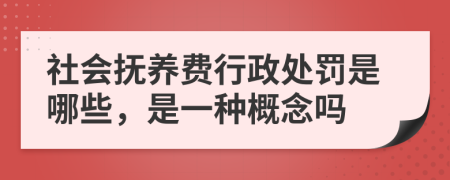 社会抚养费行政处罚是哪些，是一种概念吗