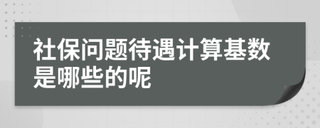 社保问题待遇计算基数是哪些的呢