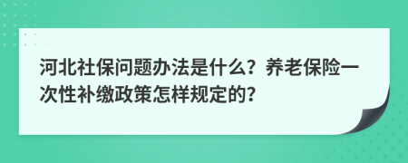 河北社保问题办法是什么？养老保险一次性补缴政策怎样规定的？