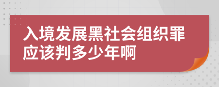 入境发展黑社会组织罪应该判多少年啊