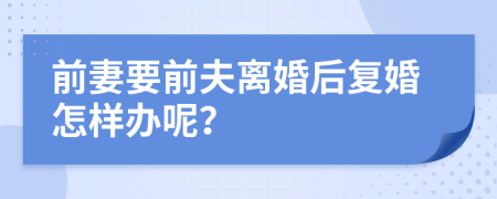 前妻要前夫离婚后复婚怎样办呢？