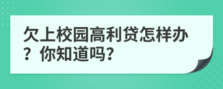 欠上校园高利贷怎样办？你知道吗？